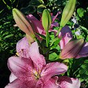 ���� ������, ������� - ��������� 19 ������� 2024