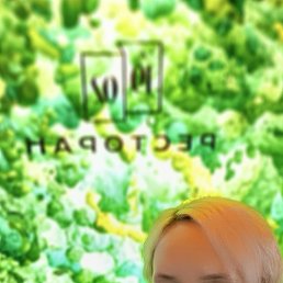 ���� ���������, �����, 42 ���� - ��������� 24 ����� 2026