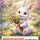 ���� �������, ���������� - ��������� 4 ������ 2026 � ������ ������ ��������