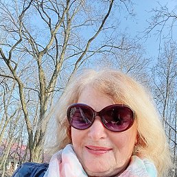 , 65, 