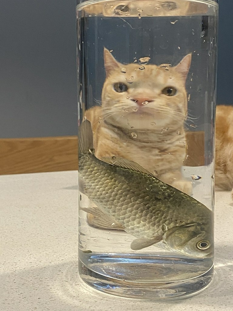 - - , ,  . , , ,       ))) - 2