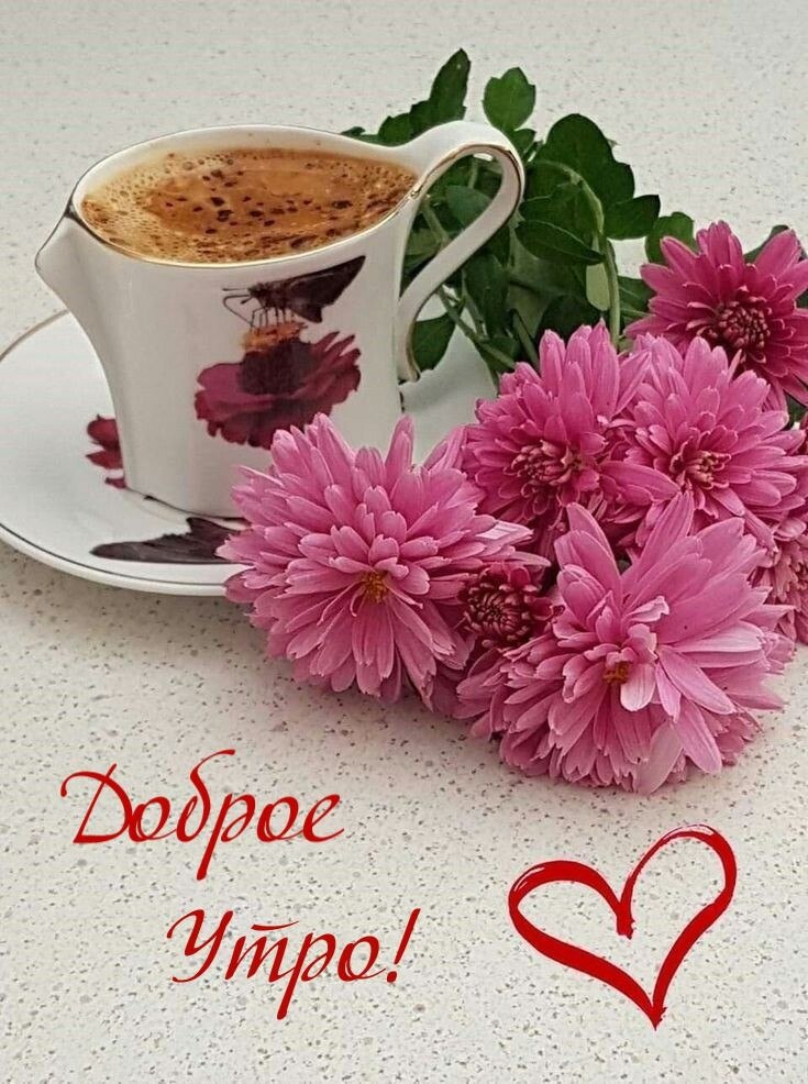 ***Victoria Viktorovna*** - 7  2025  00:25