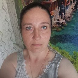 ����, 44 ����, ������