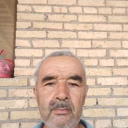 , 55, 