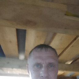 ,  , 49 