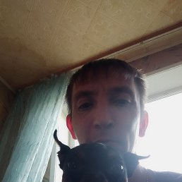 ������, ���������, 42 ����