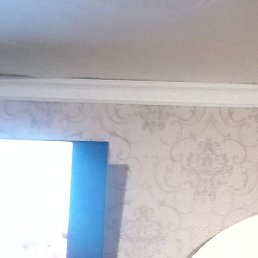 ����, ������, 56 ���