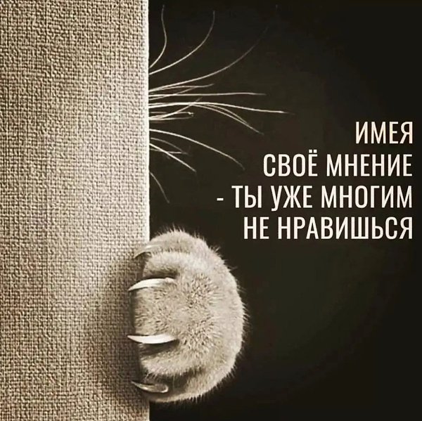 Да уж, в наше время тяжело быть тем, кто может думать сам.