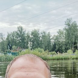 ���������, 46 ���, ����