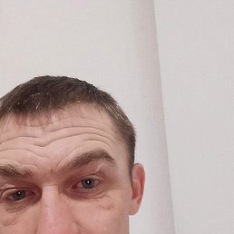 �������, ���������, 40 ���