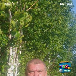 , 65, 
