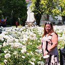 ���� ���������, ��������, 49 ��� - ��������� 27 ���� 2025 � ������ ���� ����������