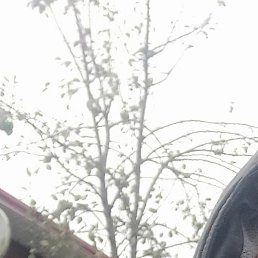 ������� ��������, ������, 57 ���