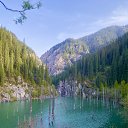  , , 65  -  15  2024   .