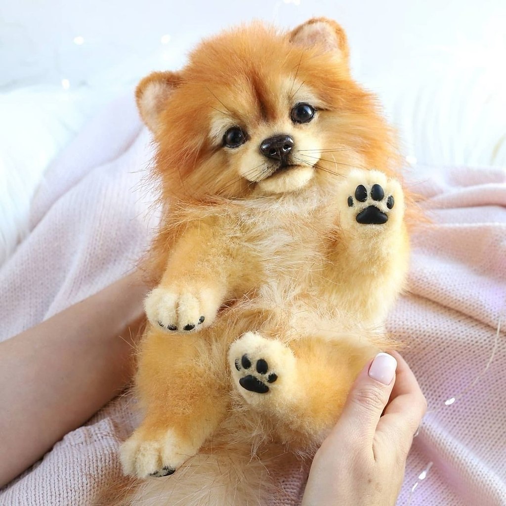 На первый взгляд кажется, что перед нами фотографии настоящих лисичек и щенков. Их выразительные ... - 3