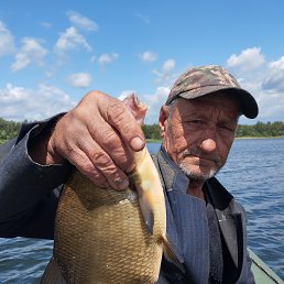 , 47, 