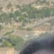 ����, 42 ����, �������