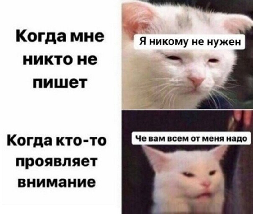 ? ,  ! - 19  2025  04:47