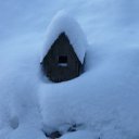 ���� E������, ��������� - ��������� 16 ������ 2024 � ������ ���� ����������