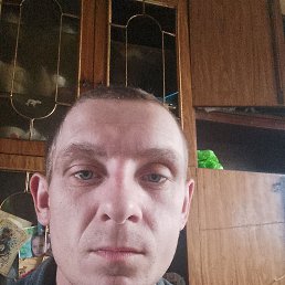 , 29, 