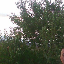 �������, ������, 51 ���