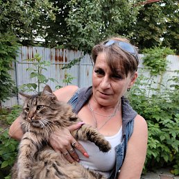 , 50, 