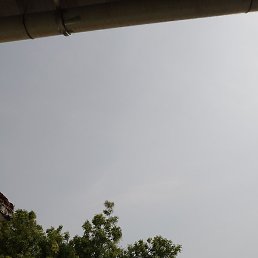 Sunny, �����������, 19 ���