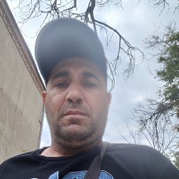, 41 , 