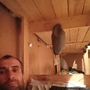 ���� ��������, ���������, 44 ���� - ��������� 20 ������ 2024 � ������ ���� ����������