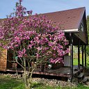  Petras, , 66  -  26  2025    