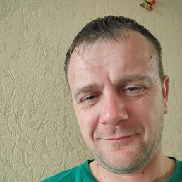 , 37, 