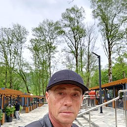 , 54, 