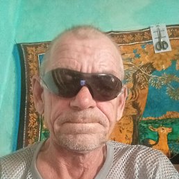 , 61, 