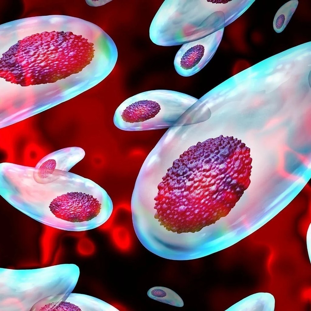 e cao c e coepae oe  oe pco pa ope. ... - 2