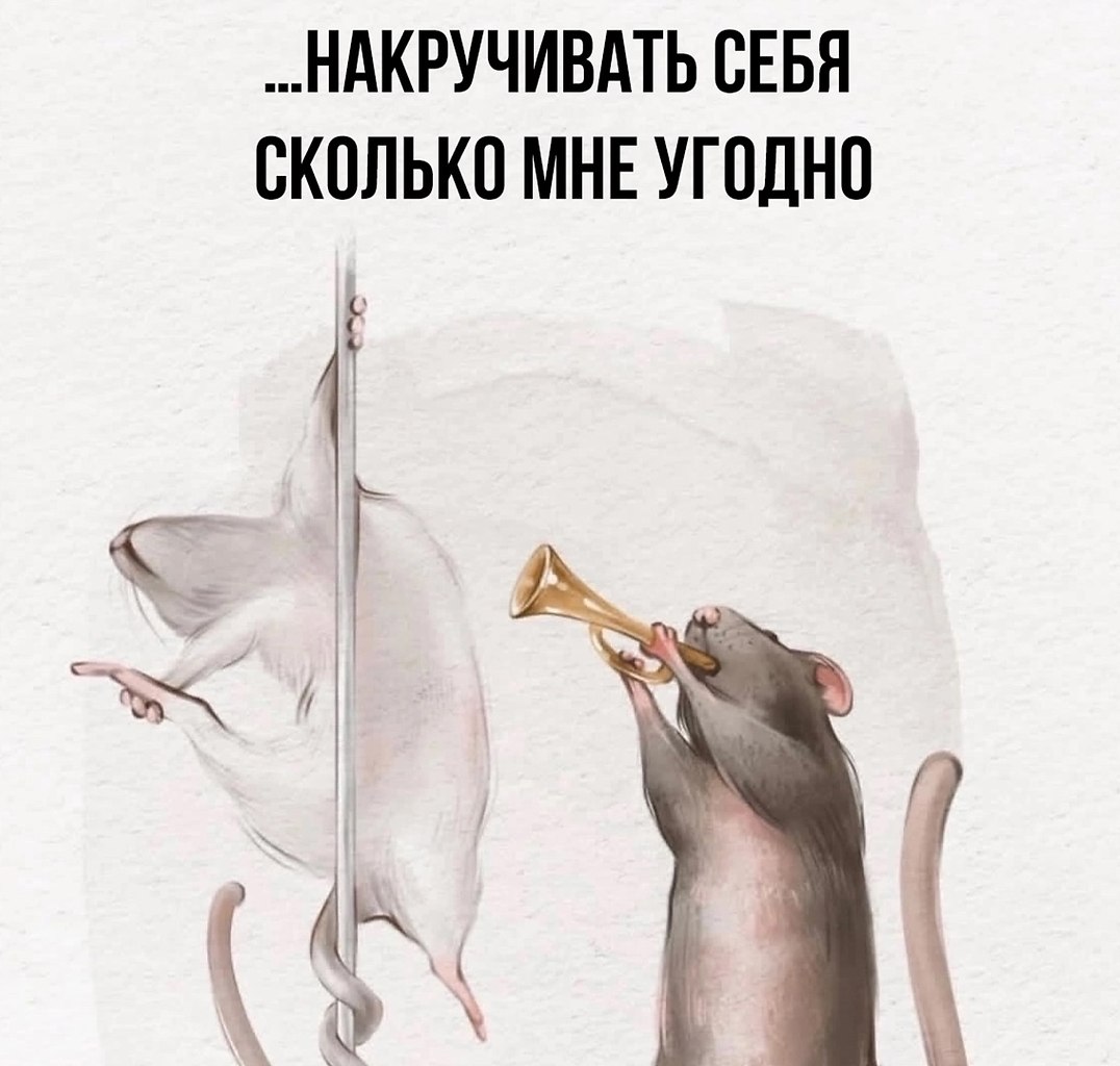  - 15  2025  07:56 - 2