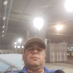 �������, ������, 46 ���