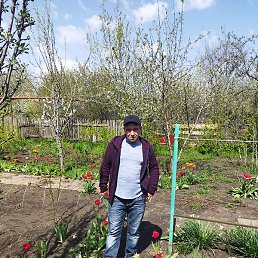 �������, ������-��-����, 39 ���