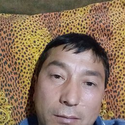 Gayrat, 40, 