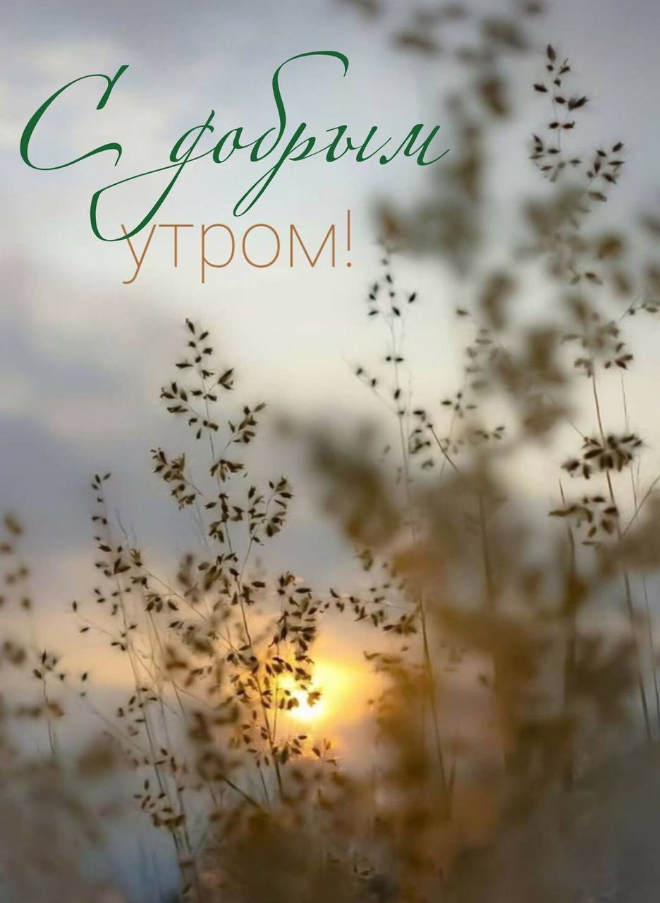 ***Victoria Viktorovna*** - 17  2025  03:05