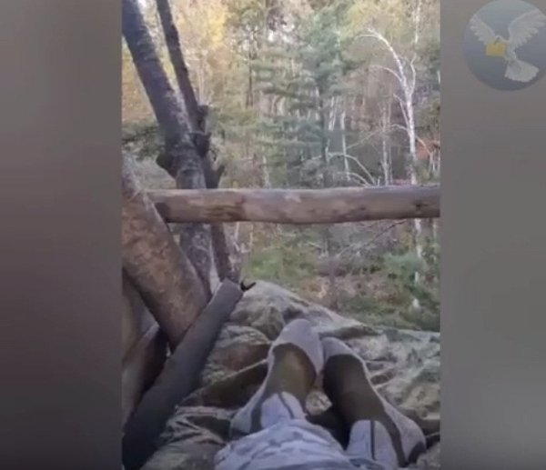 Человек, считающий себя венцом творения, оказался в положении загнанной дичи. На опубликованных ... - 2