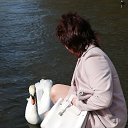 ���� �������, ������������ - ��������� 9 ������� 2025 � ������ ���� ����������