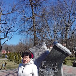 , 65, 