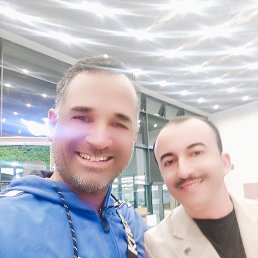 , 37, 