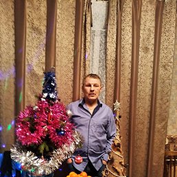 ���� ������, �����-���������, 62 ���� - ��������� 3 ������ 2026