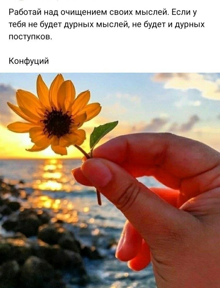   - 24  2025  15:26