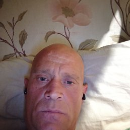 , 41, 