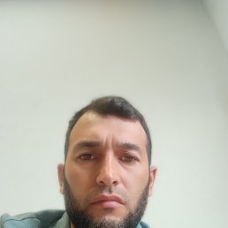 , 29, 