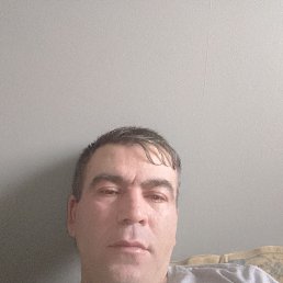 ����, 39 ���, �����������