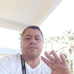 Alexander, 48, --