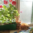 ���� Vasiliy, ������, 68 ��� - ��������� 17 ������ 2025 � ������ ������ ��������